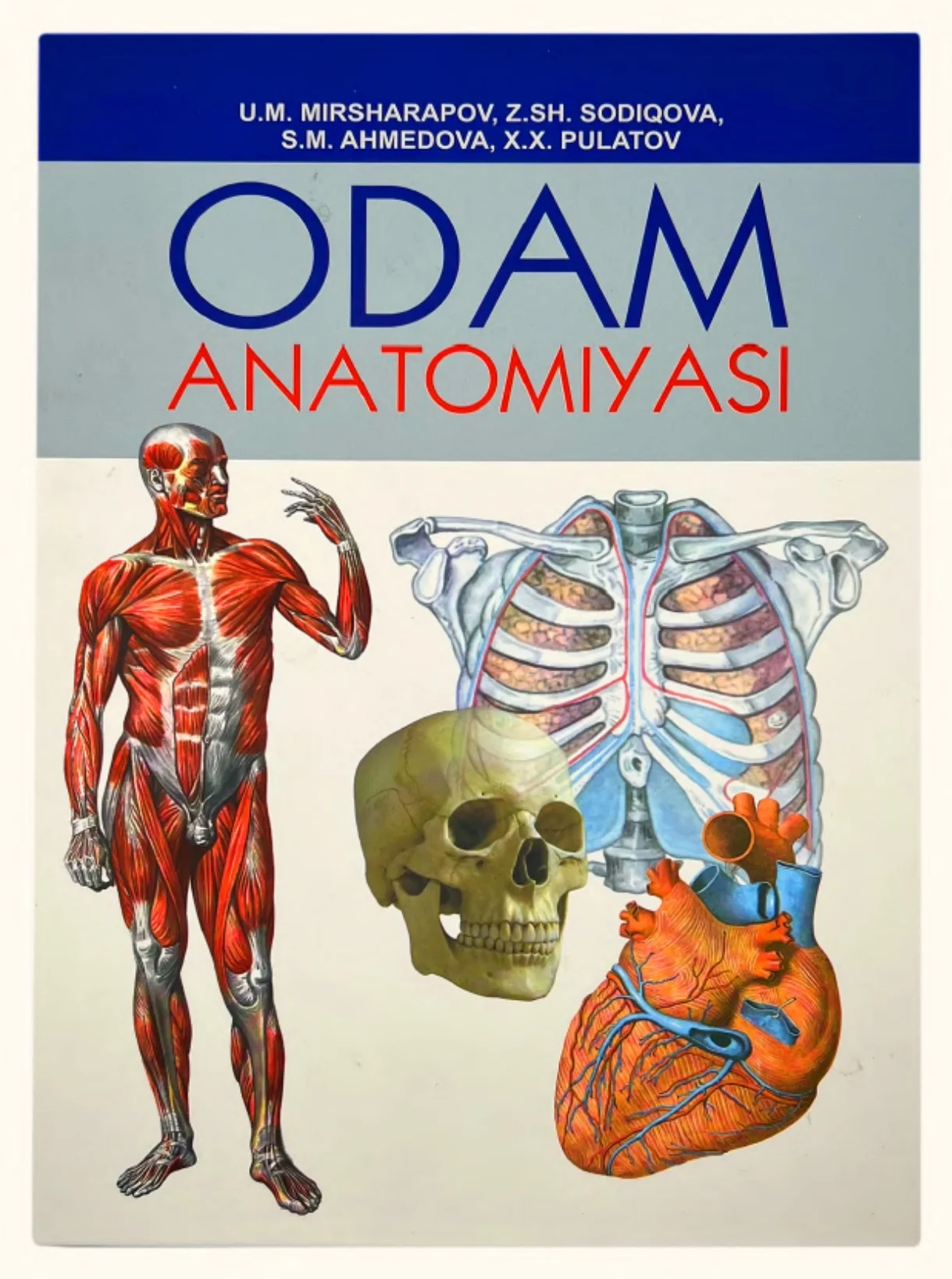Odam anatomiyasi